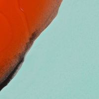 Corythornis cristatus